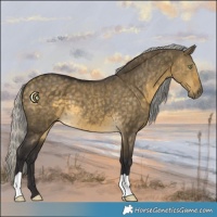 Horse Color:Silver Buckskin Dun 