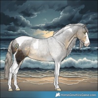 Horse Color:Silver Buckskin Tobiano 