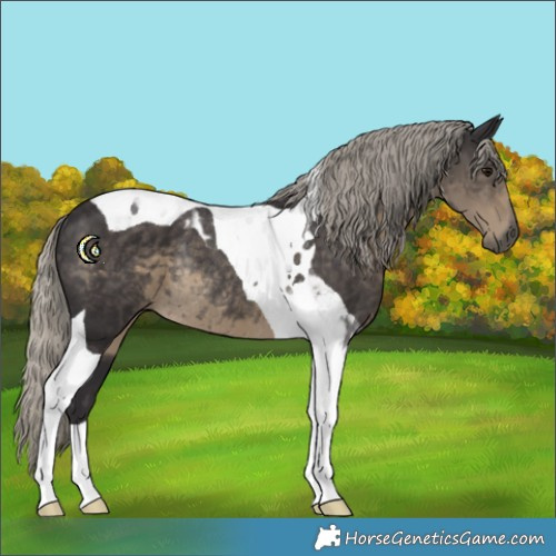 Horse Color:Silver Smoky Black Tobiano Rabicano 