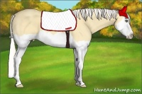Horse Color:Silver Amber Cream Champagne Dun Splash 