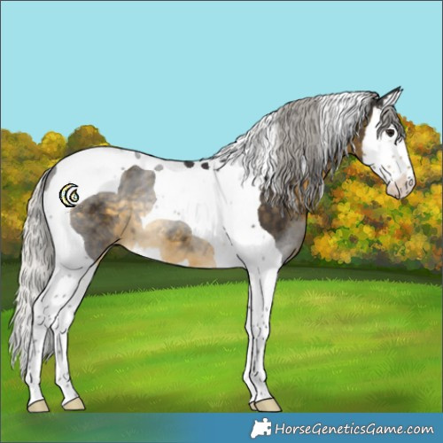 Horse Color:White Spotted Silver Buckskin Splash Tobiano