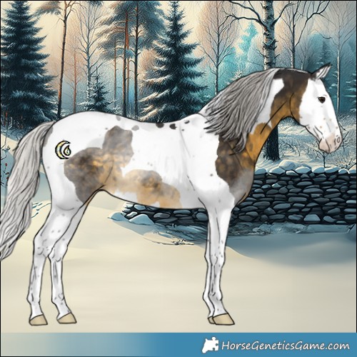 Horse Color:White Spotted Silver Buckskin Splash Tobiano