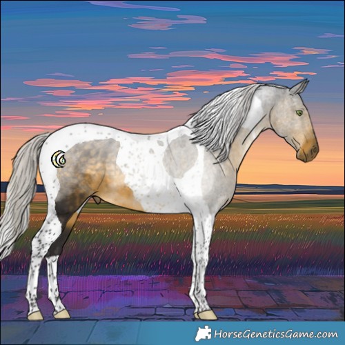 Horse Color:Silver Buckskin Tobiano 