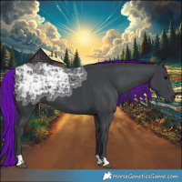 Horse Color:Painted Black Ice 