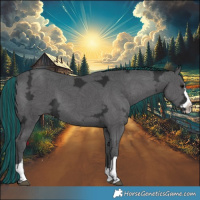 Horse Color:Painted Black Ice 