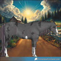 Horse Color:Painted Black Ice 