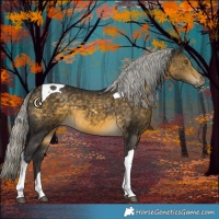 Horse Color:Silver Buckskin Tobiano 