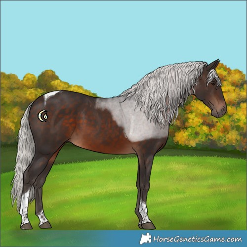 Horse Color:Silver Brown Tobiano