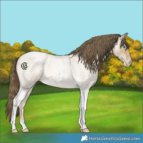 Horse Color:Buckskin Roan Pearl Tobiano 