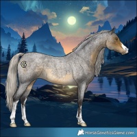 Horse Color:White Spotted Silver Buckskin Roan 