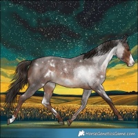 Horse Color:White Spotted Liver Red Roan Frame 