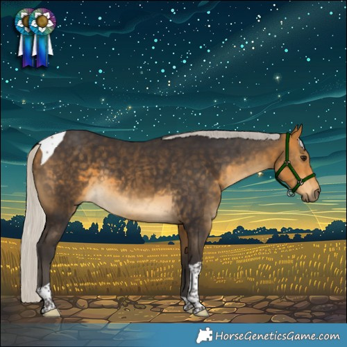 Horse Color:Silver Buckskin Tobiano 