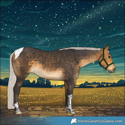 Horse Color:Silver Buckskin Tobiano 