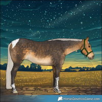 Horse Color:Silver Buckskin Tobiano 