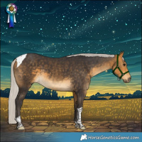Horse Color:Silver Buckskin Tobiano
