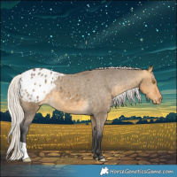 Horse Color:Silver Buckskin Dun Blanket 