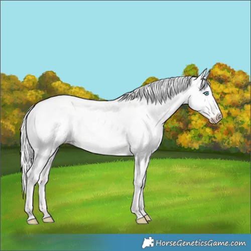 Horse Color:Silver Perlino Dun 