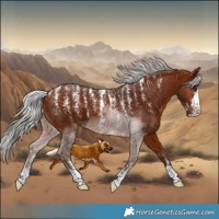Horse Color:Powder White Silver Brown