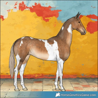 Horse Color:Chocolate Palomino Tobiano 