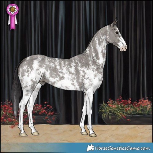 Horse Color:Smoky Grullo Sabino