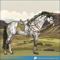 Horse Color:Liver Red Dun Sabino Appaloosa 