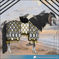 Horse Color:Brown Roan Dun Sabino