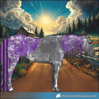 Horse Color:Painted Black Ice