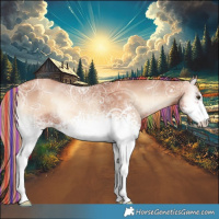 Horse Color:Painted White Spotted Gold Champagne Ice Onyx 