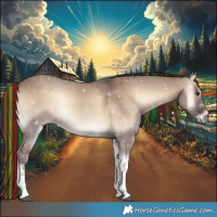Horse Color:Painted White Spotted Liver Red Dun Onyx 