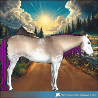 Horse Color:Painted White Spotted Liver Red Dun Onyx 