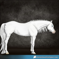Horse Color:Cremello Dun 