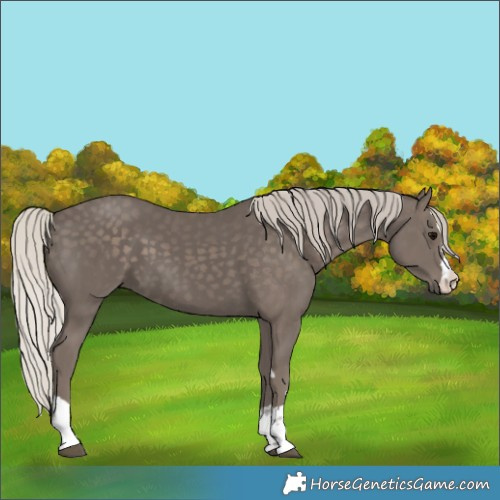 Horse Color:Silver Black 