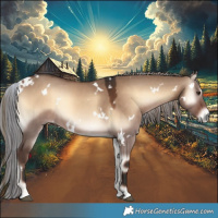 Horse Color:Painted White Spotted Liver Red Dun Onyx 