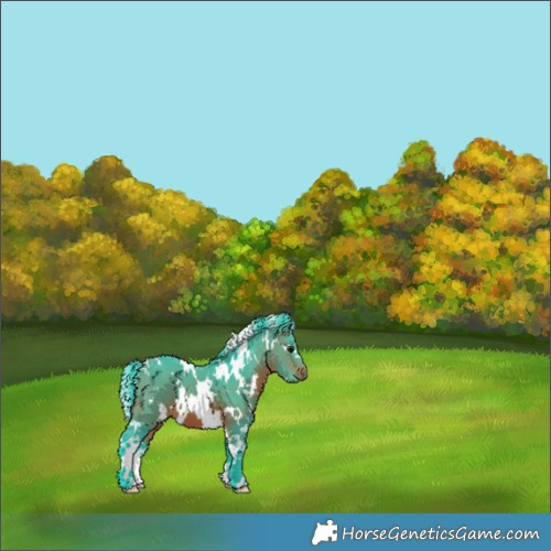 Horse Color:Watercolor White Spotted Brown 