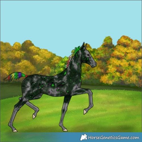 Horse Color:ERROR: UNKNOWN ANOMALY