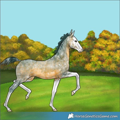 Horse Color:Watercolor Brown Ice Splash Rabicano 