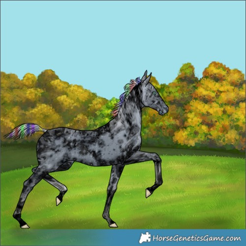 Horse Color:ERROR: UNKNOWN ANOMALY