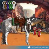 Horse Color:White Spotted Buckskin Tobiano 