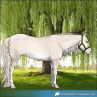 Horse Color:Chocolate Palomino Pearl Dun Tobiano 