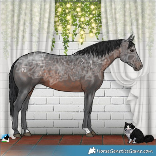 Horse Color:Brown Ice