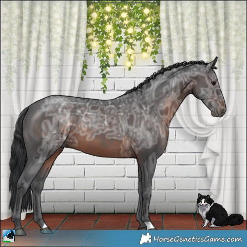 Horse Color:Brown Ice 