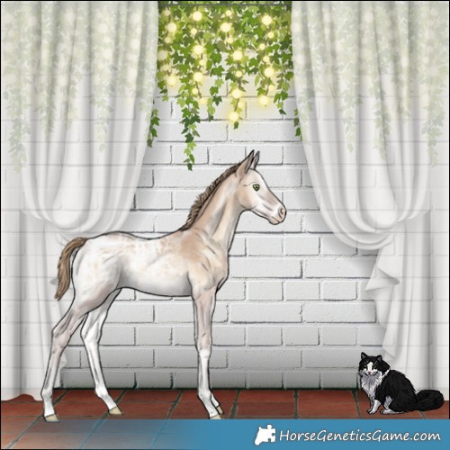 Horse Color:Perlino Ice Onyx 