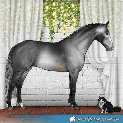 Horse Color:Gray Buckskin Mushroom Sabino 