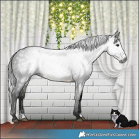 Horse Color:Gray Buckskin Mushroom Sabino