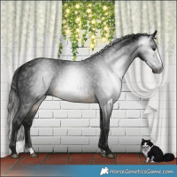 Horse Color:Gray Buckskin Mushroom Sabino