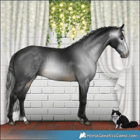 Horse Color:Gray Buckskin Mushroom Sabino 