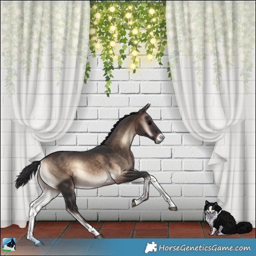 Horse Color:Brown Onyx Mushroom Rabicano 