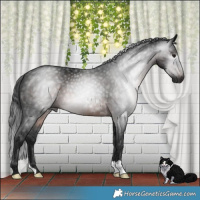 Horse Color:Gray Brown Mushroom 