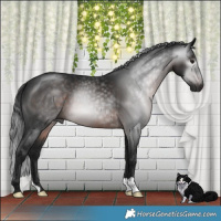 Horse Color:Gray Brown Mushroom