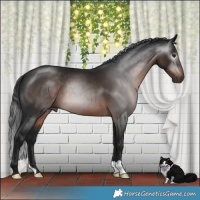 Horse Color:Gray Brown Mushroom
